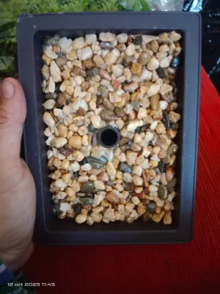 Bonsai artificial NUEVO ‼️