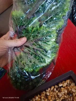 Bonsai artificial NUEVO ‼️