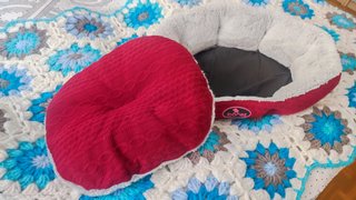 Camita perro🐕