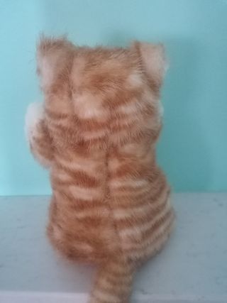 Peluche gatto