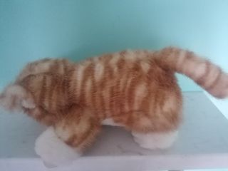 Peluche gatto