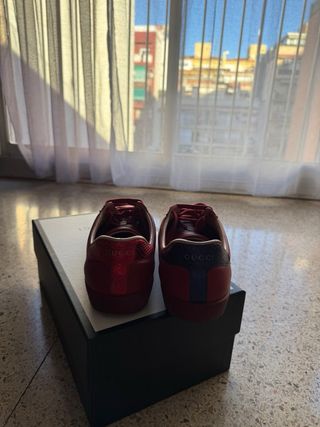 Sneakers gucci Ace bee