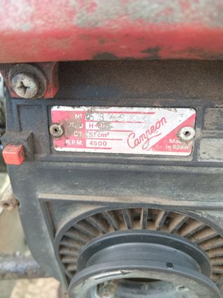 Motor campeón para alsofatadora