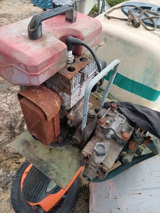 Motor campeón para alsofatadora