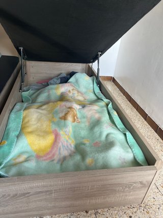 Cama individual con canape