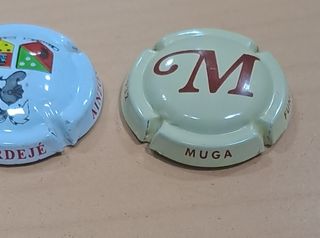 5 placas autonómicas