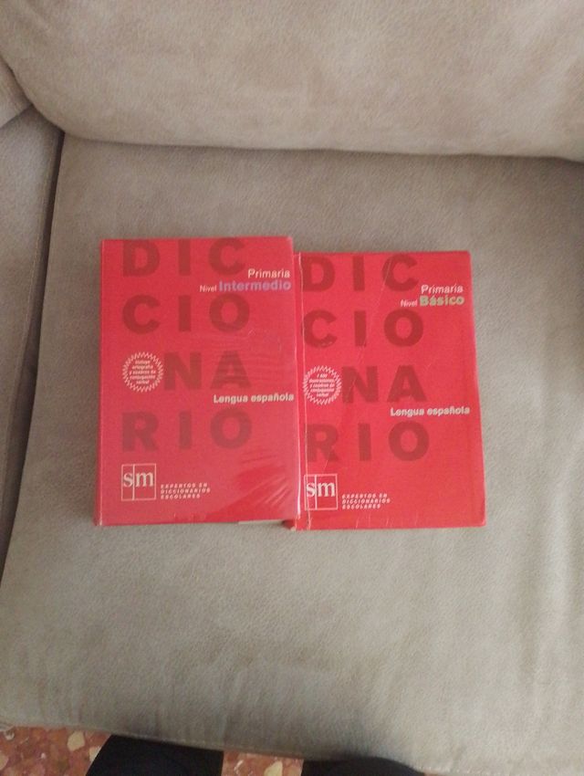 DICCIONARIOS LENGUA ESPAÑOLA SM