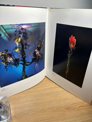 the art of flower