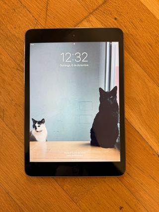 Ipad Mini 2