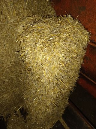 Balas de paja pequeñas