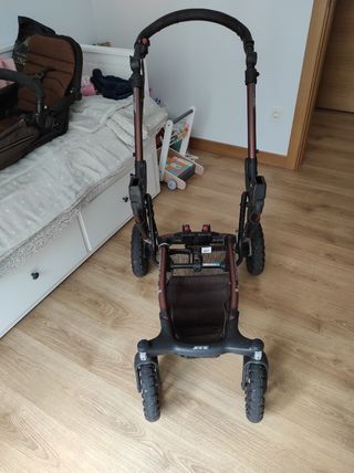 Carrito Jane crosswalk