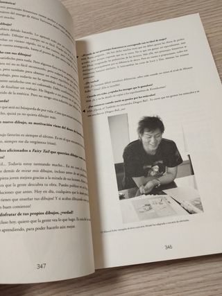 MANGA FairyTail 1 -350 paginas