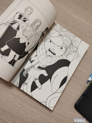 MANGA FairyTail 1 -350 paginas