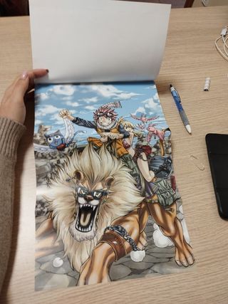 MANGA FairyTail 1 -350 paginas