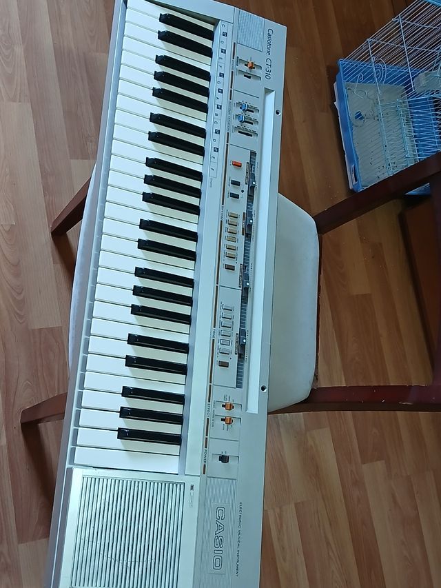 Tastiera Casiotone CT_310