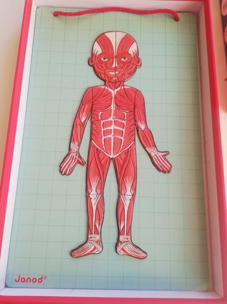 PUZZLE MAGNETICO EL CUERPO HUMANO MARCA  JANDO