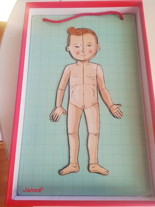 PUZZLE MAGNETICO EL CUERPO HUMANO MARCA  JANDO