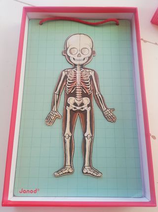 PUZZLE MAGNETICO EL CUERPO HUMANO MARCA  JANDO