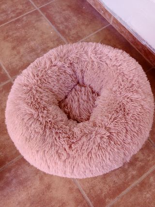 Dos camas de animales gatos y perros,una rosa otra