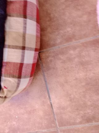 Dos camas de animales gatos y perros,una rosa otra