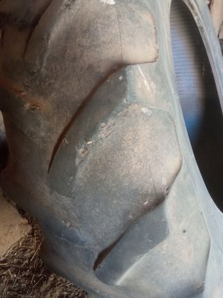 Neumatico