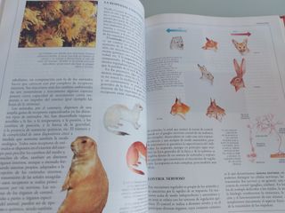 CRISOL ENCICLOPEDIA ESCOLAR