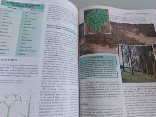 CRISOL ENCICLOPEDIA ESCOLAR