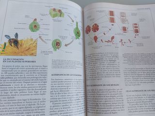 CRISOL ENCICLOPEDIA ESCOLAR