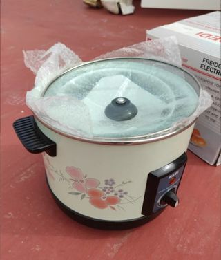 Freidora de aceite 