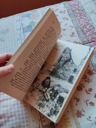 Los cinco otra vez en la isla de Kirrin