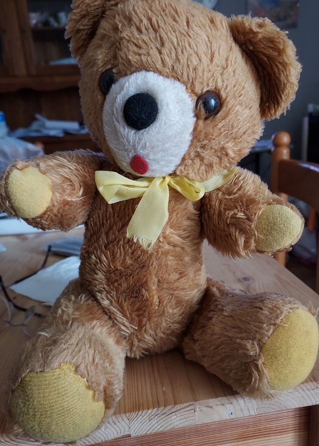 Peluche orsacchiotto