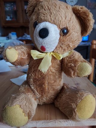 Peluche orsacchiotto