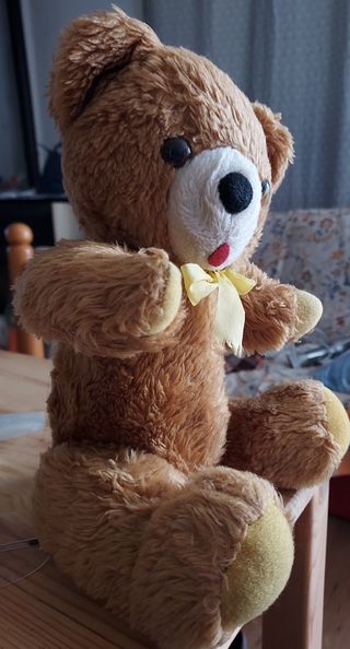 Peluche orsacchiotto