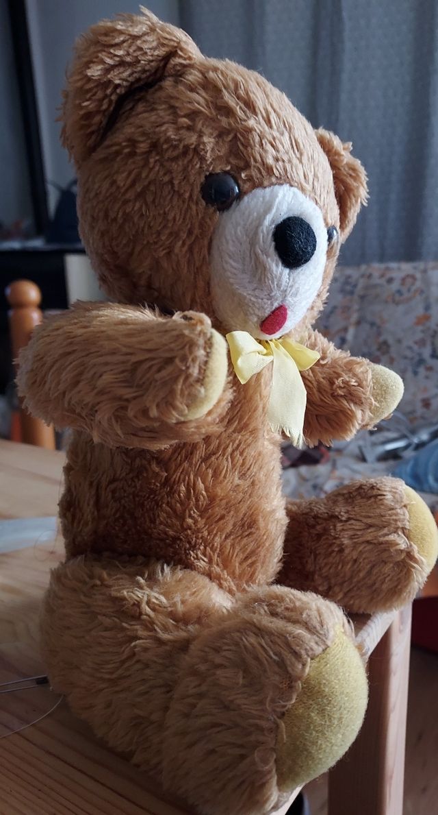 Peluche orsacchiotto