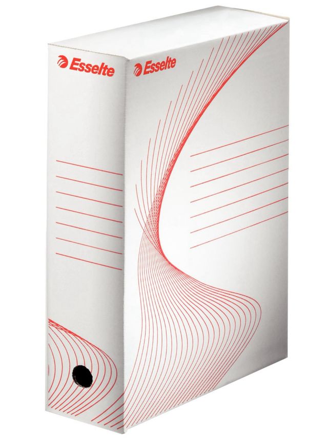 Lotto 25 Scatole Archivio Esselte 100mm Bianche