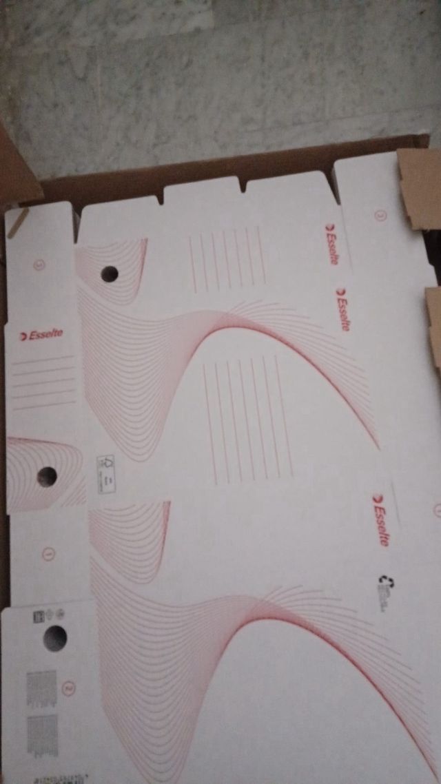 Lotto 25 Scatole Archivio Esselte 100mm Bianche