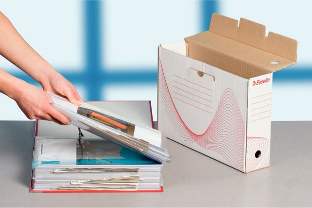 Lotto 25 Scatole Archivio Esselte 100mm Bianche