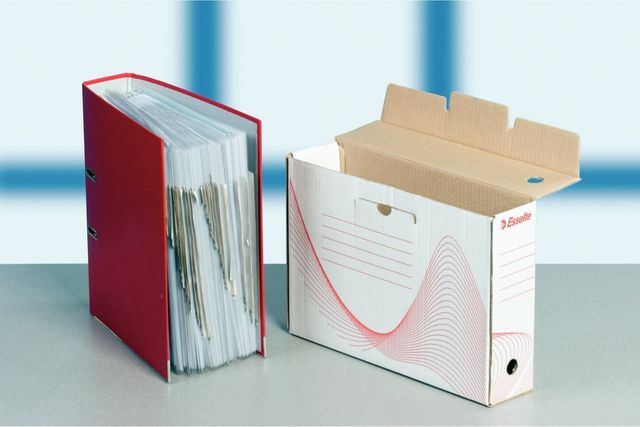 Lotto 25 Scatole Archivio Esselte 100mm Bianche