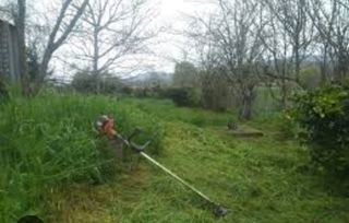 Se hace todo tipo d trabajo