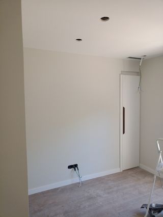 PINTOR PROFESIONAL ECONÓMICO