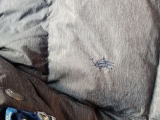 Chaqueta/abrigo Polo Ralph Lauren