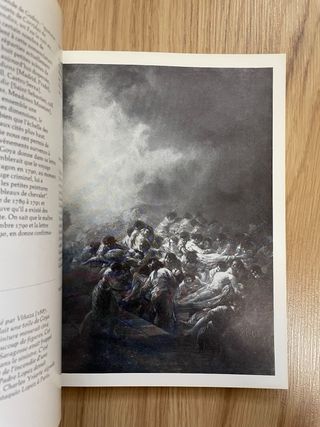 Libro de Goya en frances