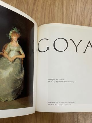 Libro de Goya en frances