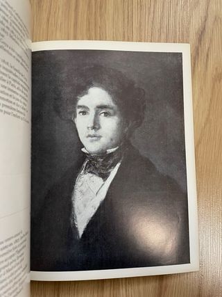 Libro de Goya en frances
