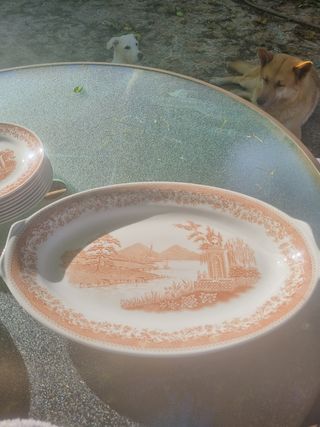 Vajilla ROYAL CHINA VIGO OLD ENGLAND