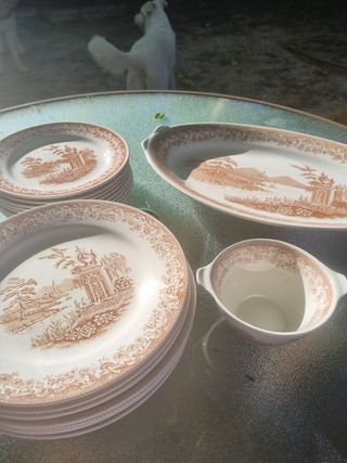 Vajilla ROYAL CHINA VIGO OLD ENGLAND