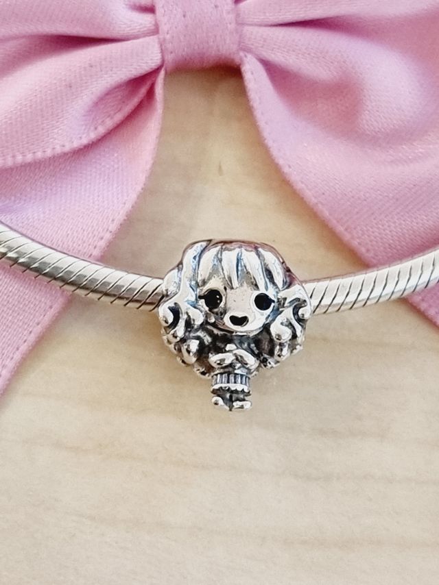 CHARM HERMIONE HARRY POTTER PLATA