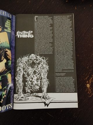 Swamp Thing n. 1