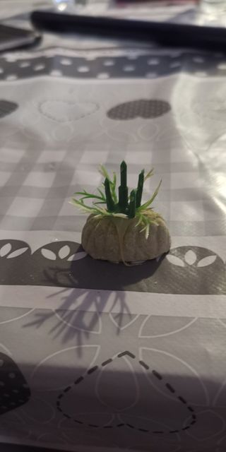 Conjunto de Plantas de plastico acuario