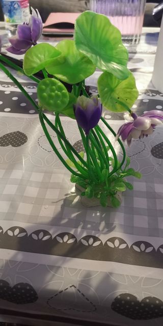 Conjunto de Plantas de plastico acuario